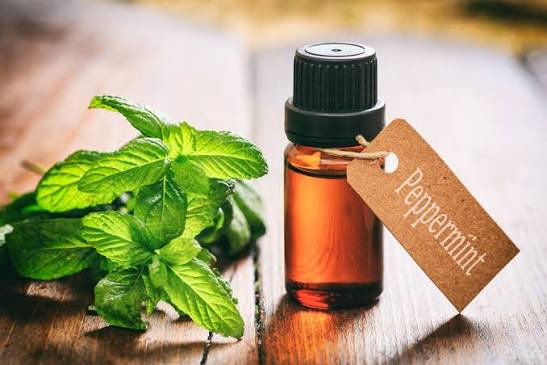 Peppermint Essential Oil – Cooling Comfort. Peppermint essential oil delivers a naturally cooling sensation.